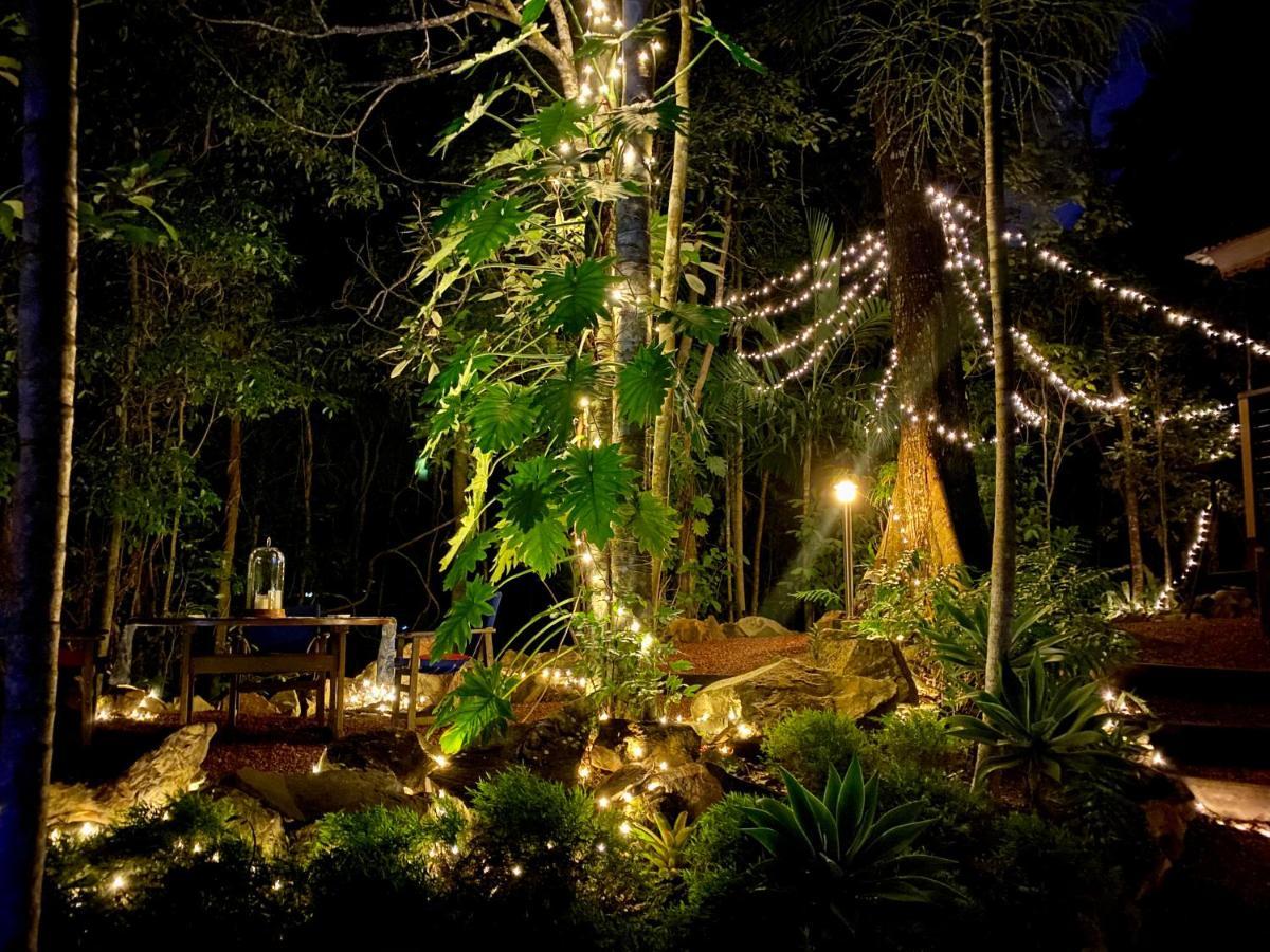Cairns Rainforest Retreat Exteriör bild