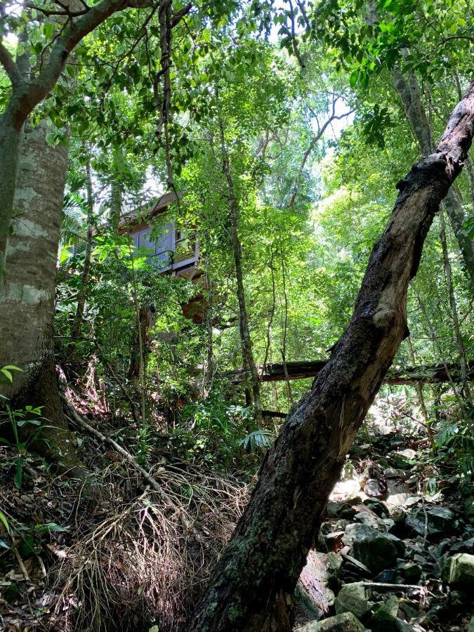 Cairns Rainforest Retreat Exteriör bild